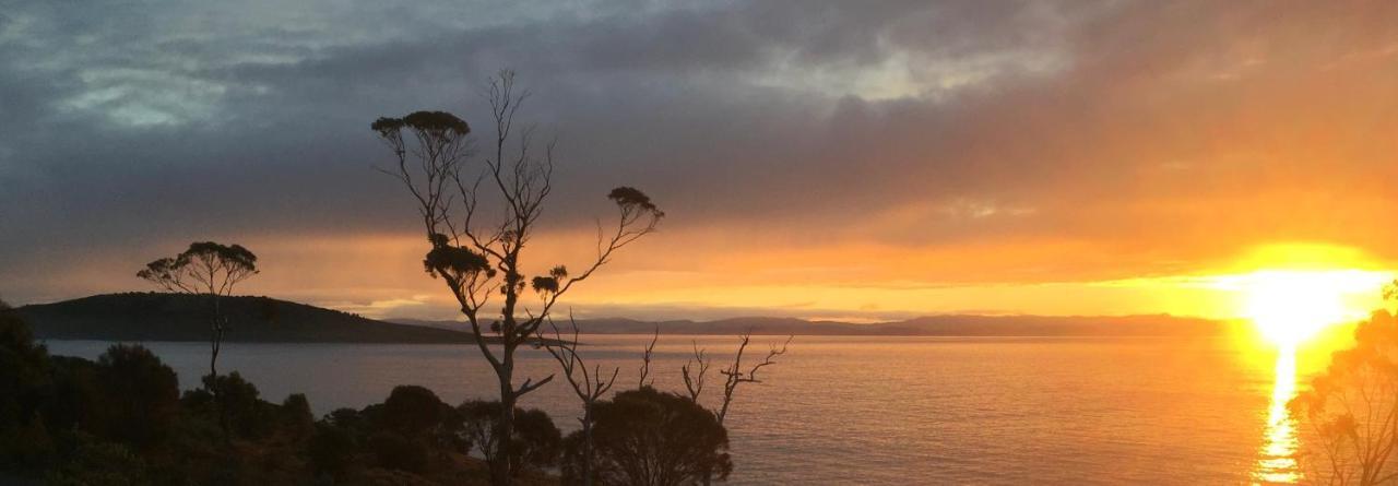 화이트비치 Chill Tasmania 빌라 외부 사진