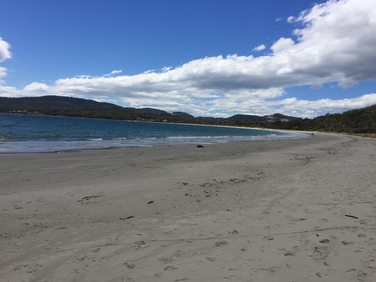 화이트비치 Chill Tasmania 빌라 외부 사진
